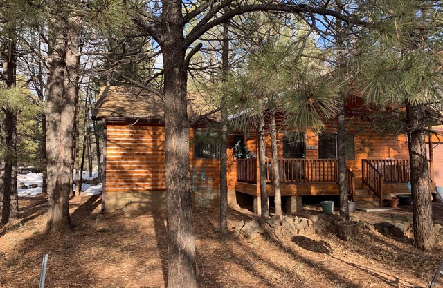 Wonderful dog friendly log cabin to enjoy the cool mountain weather.