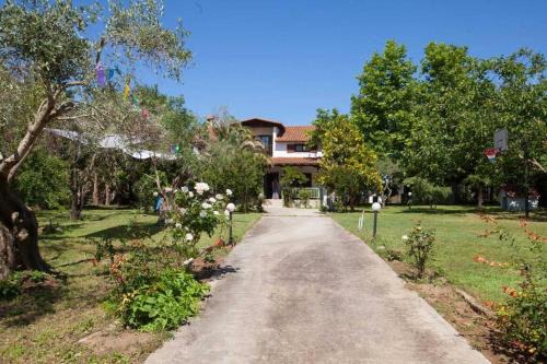 Wonderful villa with huge yard, at Potamos beach