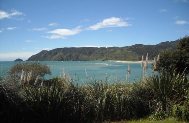 Wonderful Wainui Bay
