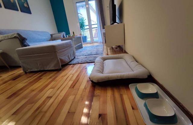 WOOD & WHITE APPARTMENT WITH 2 BEDROOMS IN CENTER
