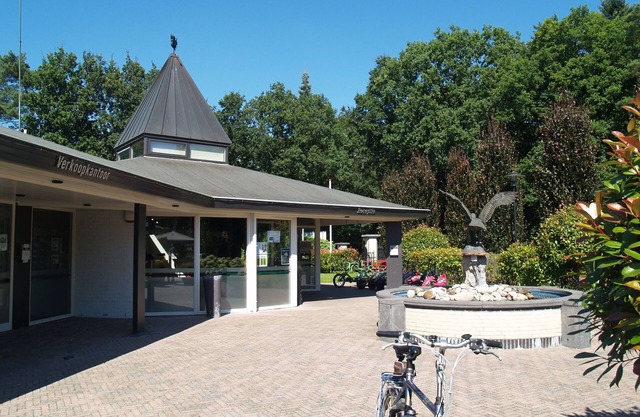 Wooden chalet in a holiday park in the Achterhoek