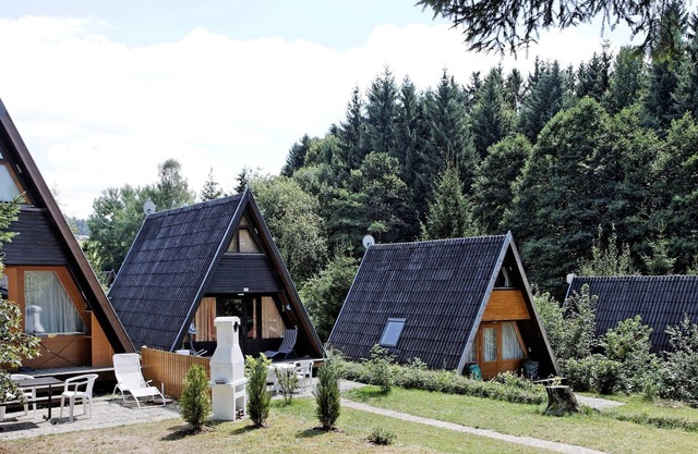 Wooden chalet with terrace near a swimming lake