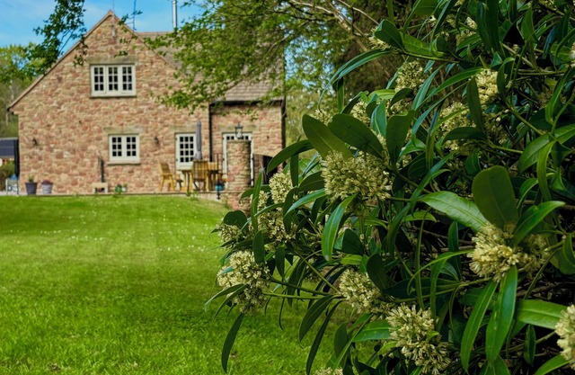 Woodland edge retreat, with wood burning stove.