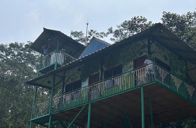 Woodland Resort