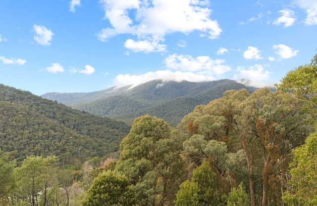 Woollybutt - sitting high on Alpine Ridge featuring spectacular alpine views