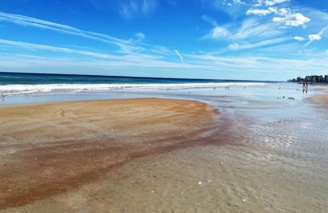 World's Famous ✦ Daytona Beach Home!❣