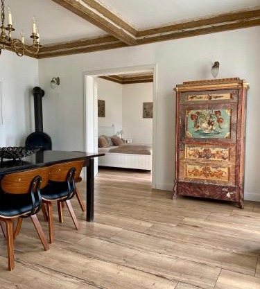 Wundervolle Wohnung im Elbhang von Dresden Loschwitz