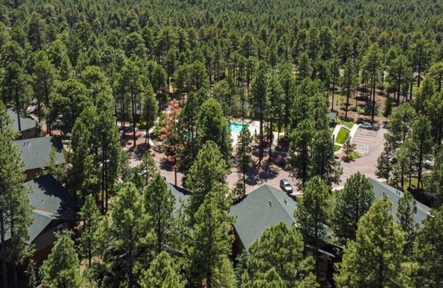 Wyndham Pinetop - Stunning Studio