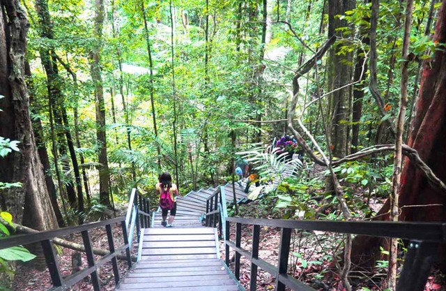Xcape Resort at Taman Negara