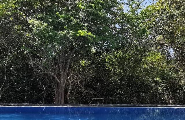 Yala Ravana AC Luxury Tented Safari Camp