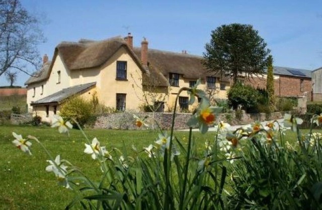 Yans Barn · Great Gutton Farm