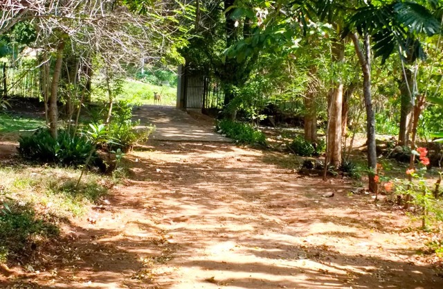 Yoho Lavonrich Bungalow