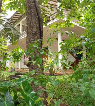 Yonara Green Rest