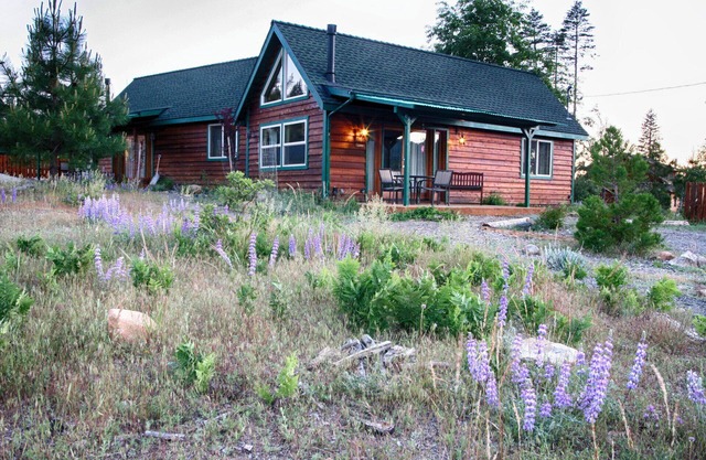 Yosemite Hilltop Cabins, Lupin Cabin,15 min to the Valley floor, Wifi
