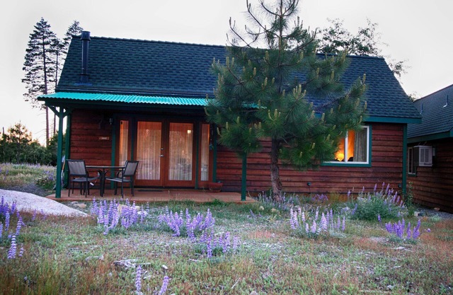 Yosemite Hilltop Cabins, Sage Cabin,15 min to the Valley floor, Wifi