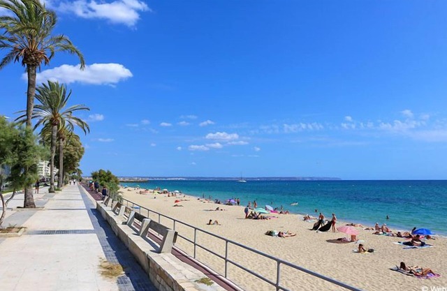Your Home Away From Home! Convenient Suite with Spectacular View
