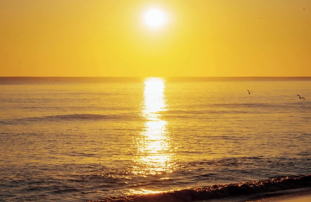Your OBX Escape w/Ocean View @ Sea Dunes