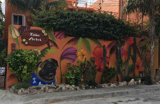 Your Personal Vacation Retreat on Isla Mujeres-Casa Flores