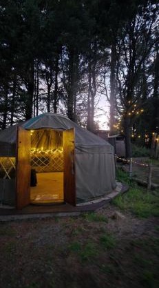 Yurt Pitch - TY GRUG RETREAT