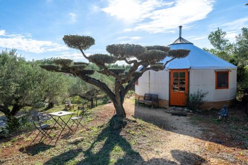 Yurta Mongola Delta del Ebro