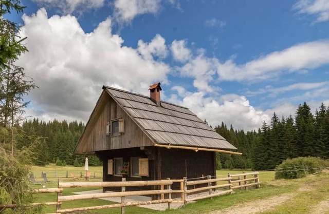 Zala's Mountain Paradise 2km From Ski, Bohinjska Bistrica, Slovenia