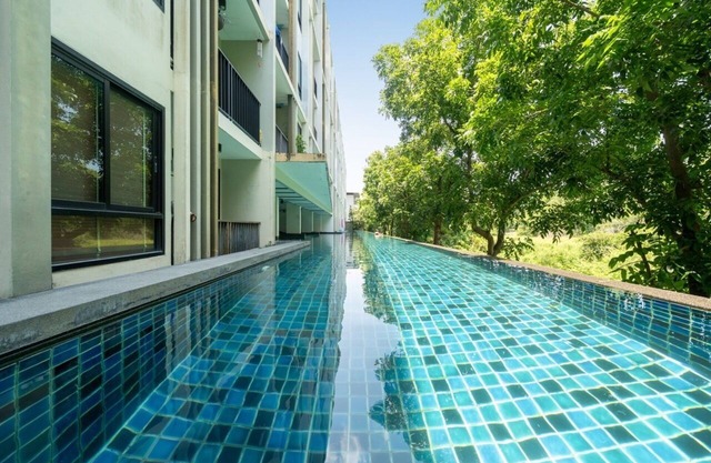 ZcapeX2 Condo TOP Location Spotless 1 BR Studio B