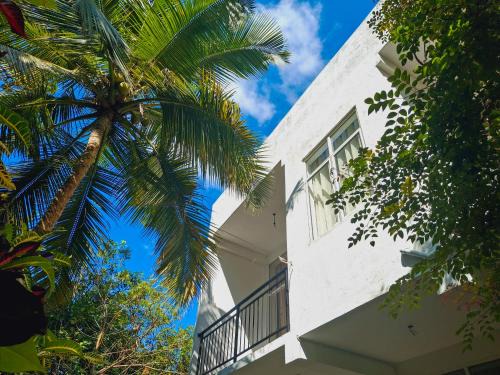Zeleny Retreat Home Stay