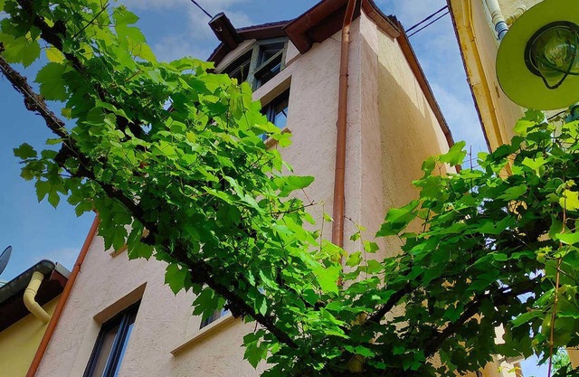 Zeller Kehr - exceptional house with a great view - Zeller Kehr