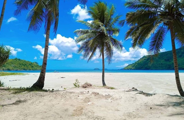 Zhaya's Beach and Cottages
