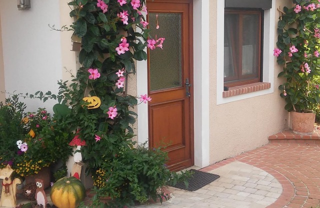 Zimmer Mandevilla - Haus Giessauf