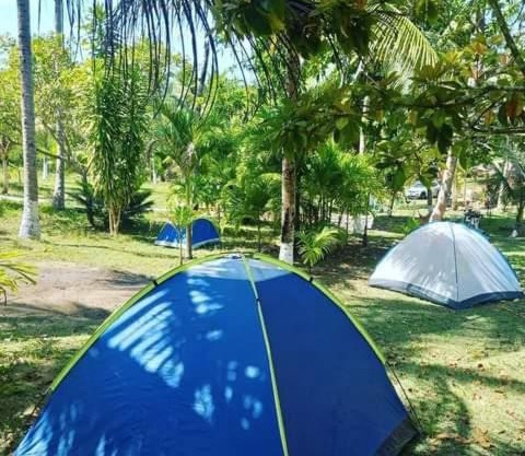 Zion camping