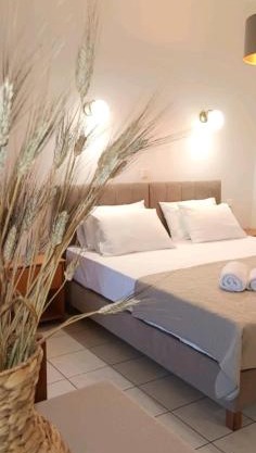 ZOGRAFOS SPIROS Rooms