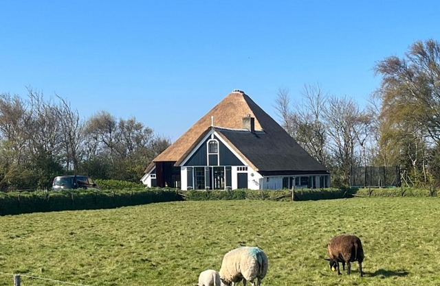 Zuid Haffel