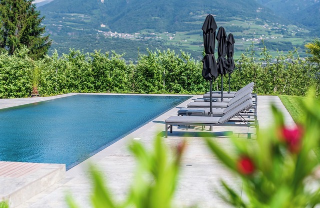"Zwerger Parterre" vacation apartment with garden terrace, pool and large sunbathing lawn
