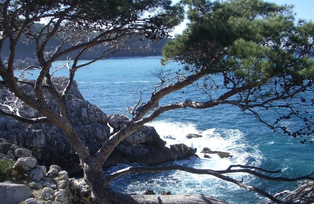 Zwischen Bergen und Meer