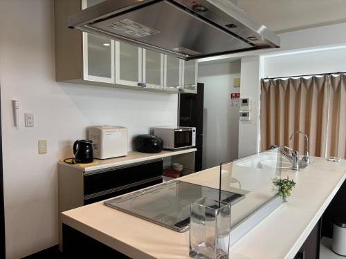 Nagawa Apartment | 褚之屋一号