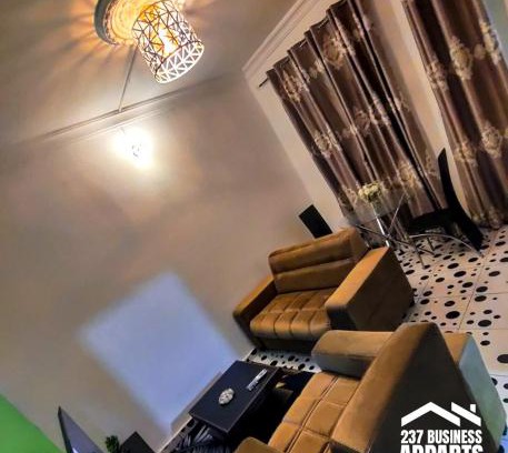Douala Apartment | 237 Business apparts