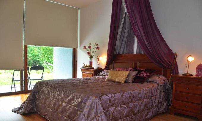 Santa Comba Dao Resort | 24 m² Private room ∙ 1 bedroom ∙ 3 guests