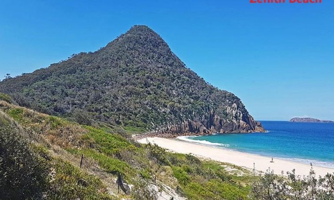 Shoal Bay Apartment | 4 'Adriana', 83 Ronald Avenue - open plan living with backyard