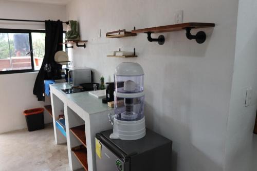 Del Carmen Apartment | 5 minutos de la casa Azul I Departamento Coyoacán