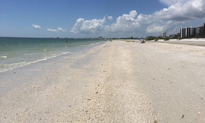 South Island Condo | 603A Spectacular Gulf Views w Updated Accommodations