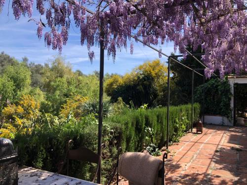 Mijas Hotel | A natural retreat