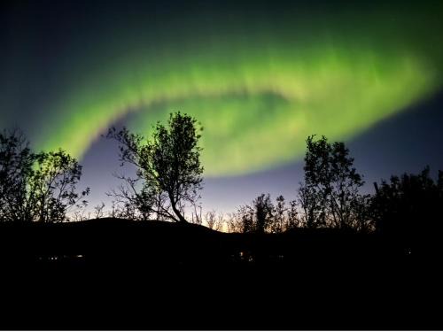 Tromso Apartment | A place for Aurora in wintertime and midnight sun in summer-time!