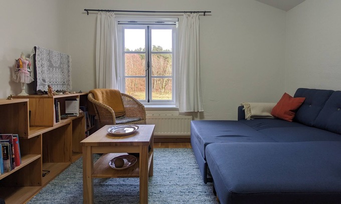 Muritz Apartment | Absolute Ruhe und Einsamkeit auf Einer Waldlichtung im Müritznationalpark
