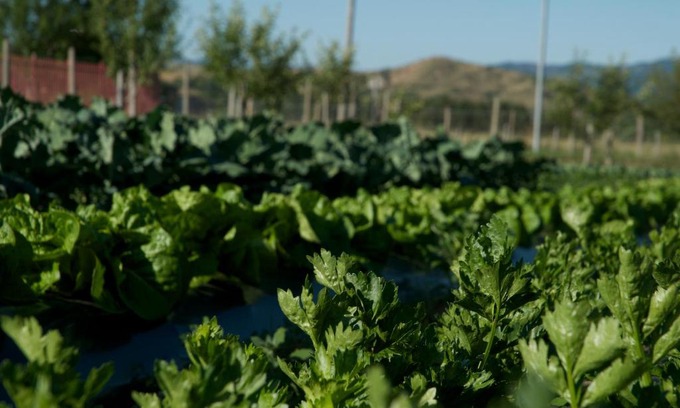 Celico House | Agriturismo Fiorella