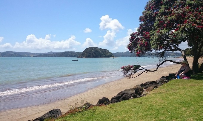 Paihia Hotel | Ala Moana Motel