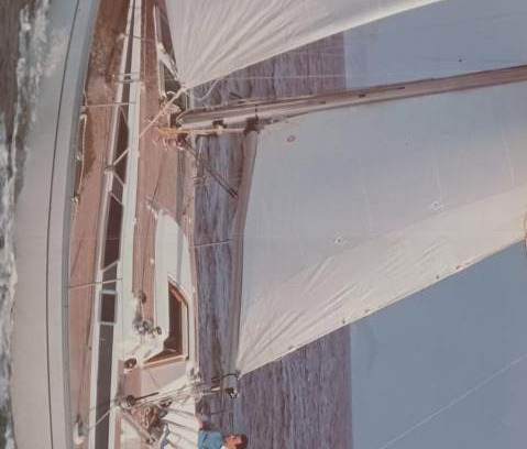 Orikum Boat Rental | Albatros