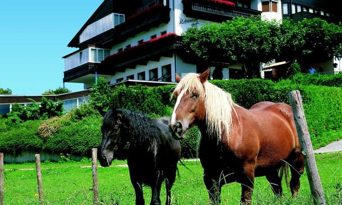 Aldrans Hotel | Aldranser Hof