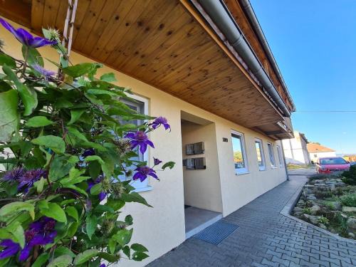 Cerna V Posumavi Apartment | Apartmán U AKVARISTY