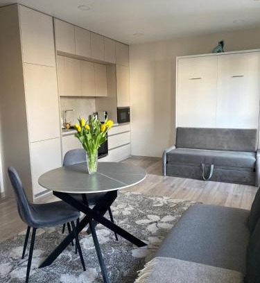 Kaunas Apartment | Apartments in the center